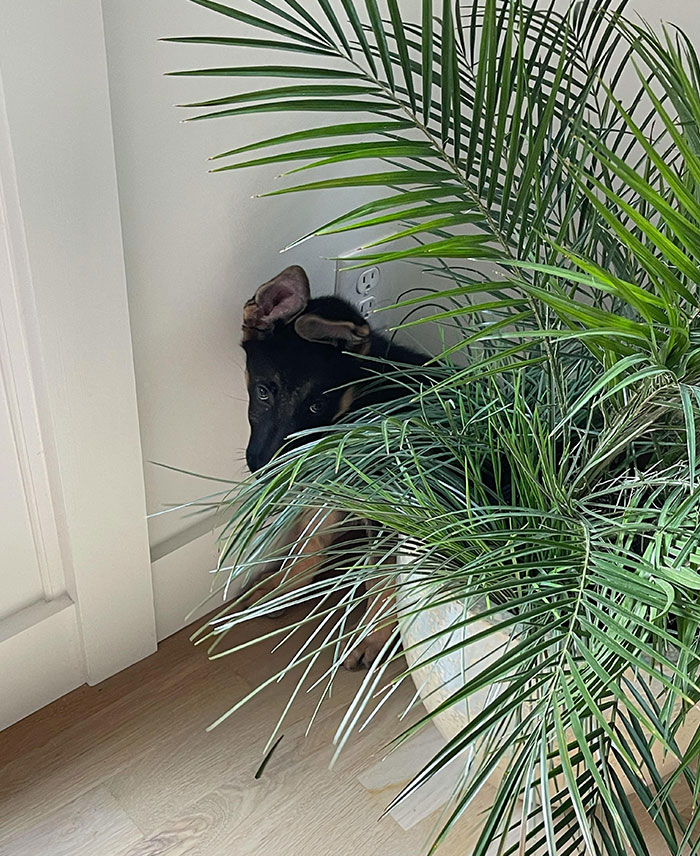 Korra Hiding After She Misbehaved