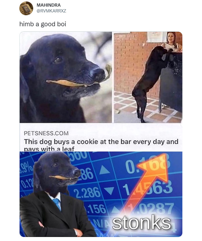 Funny-Posts-Best-Worst-Twitter