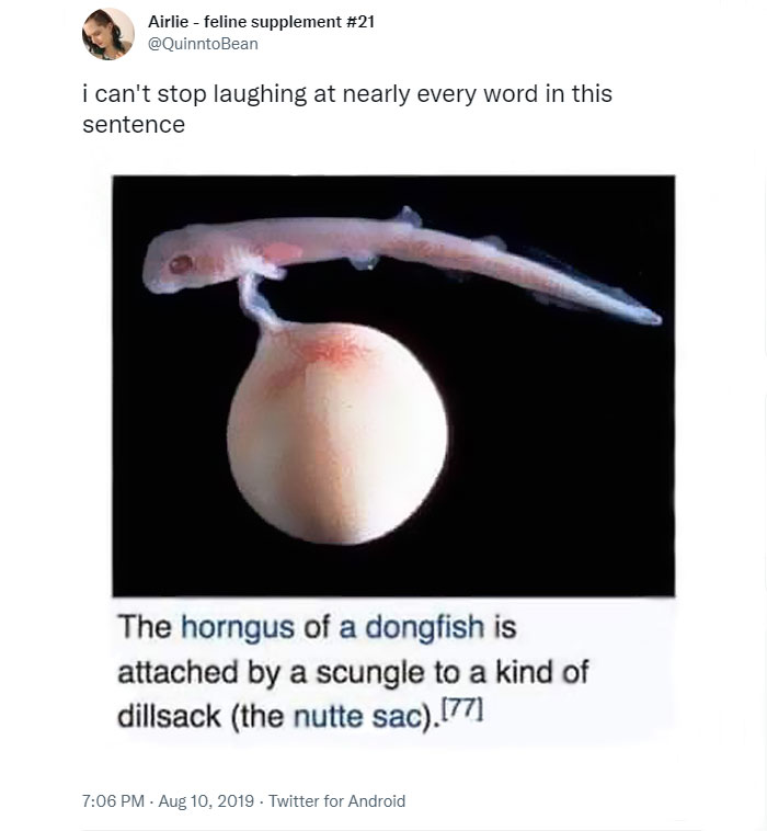 Funny-Posts-Best-Worst-Twitter