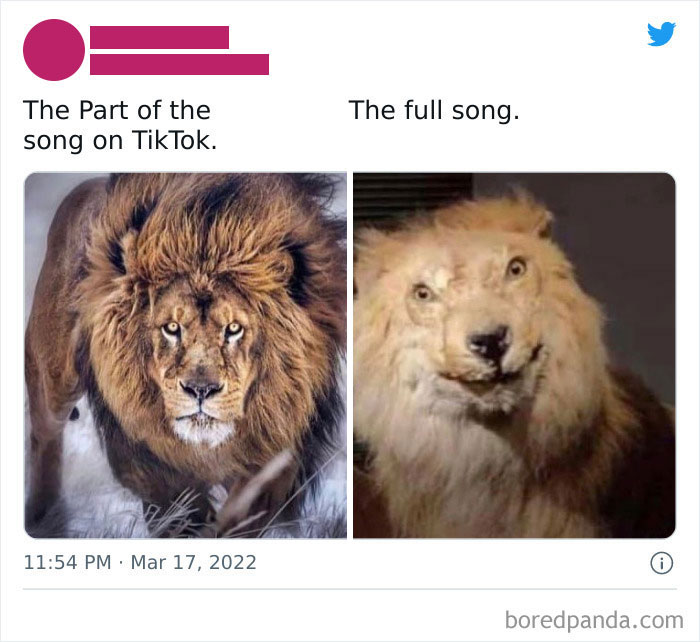 Funny-Posts-Best-Worst-Twitter