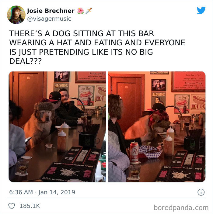 Funny-Posts-Best-Worst-Twitter