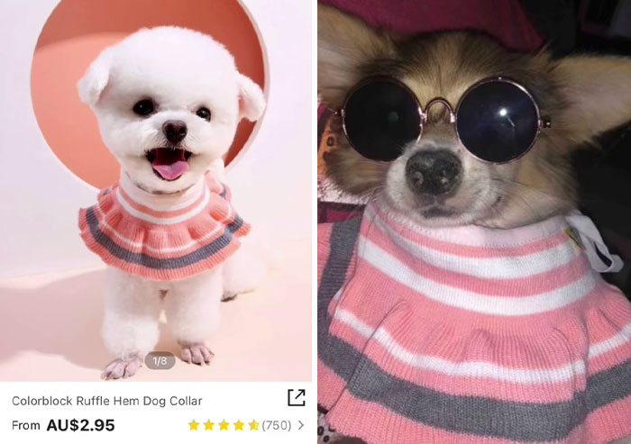 Funny-Shein-Review-Items-Pics