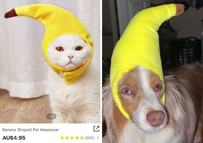 Funny-Shein-Review-Items-Pics