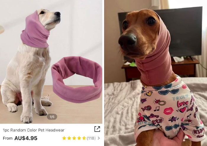 Funny-Shein-Review-Items-Pics