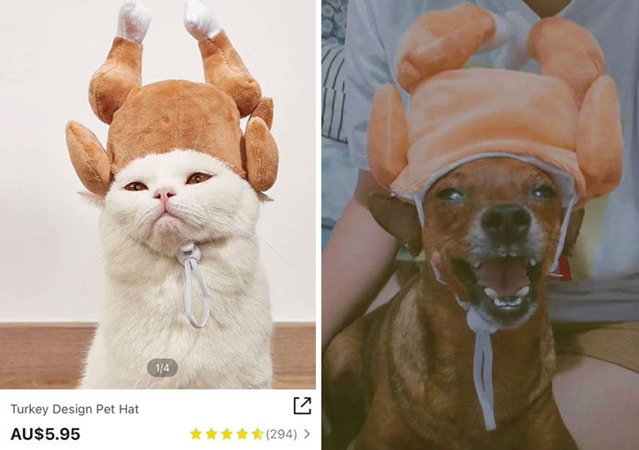 Funny-Shein-Review-Items-Pics