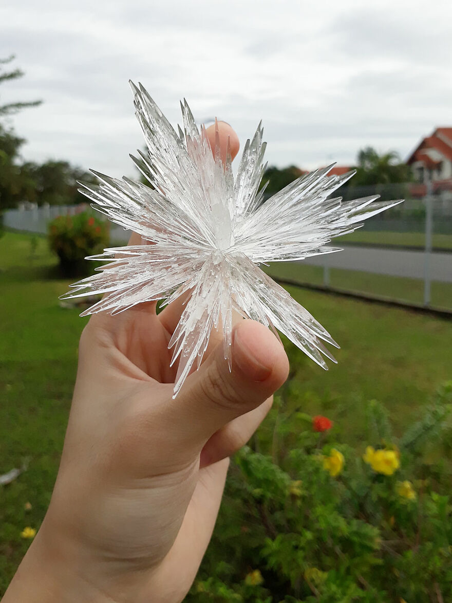 #2 Monoammonium Phosphate