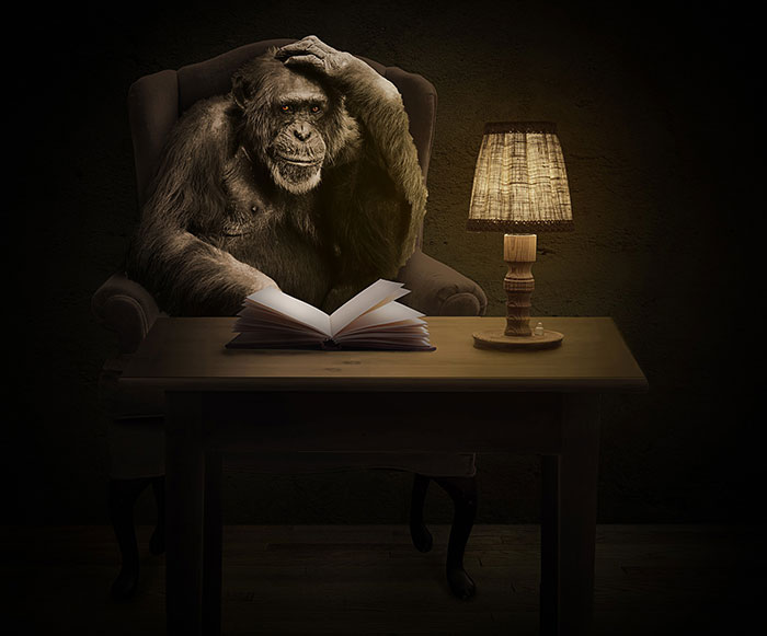 Hilarious-Internet-Predictions-90s