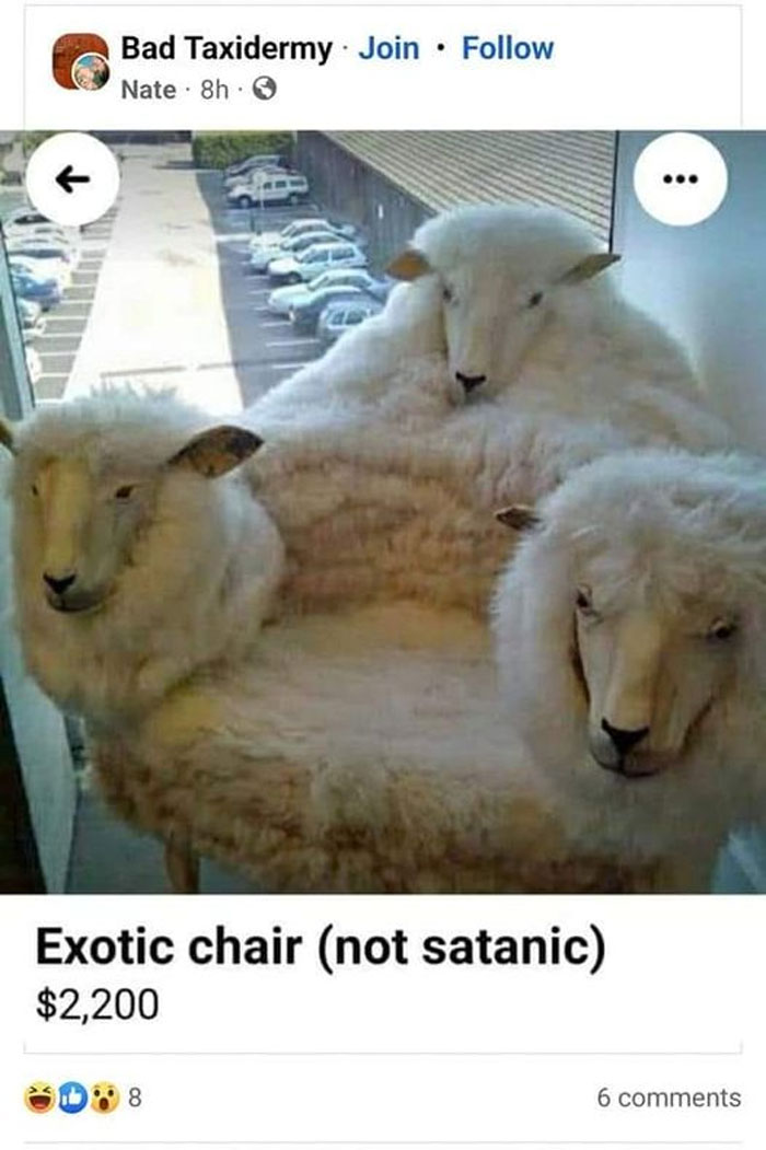 Humans-Of-Marketplace