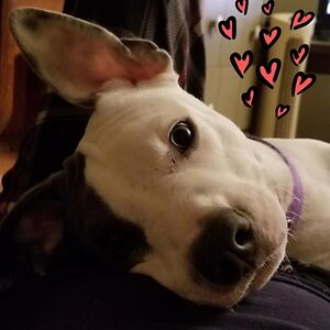 candy.hale.77 avatar