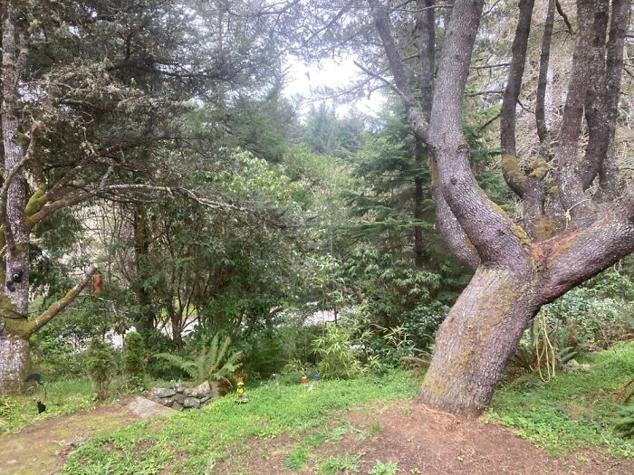 I Love Our Yard..... ☺️