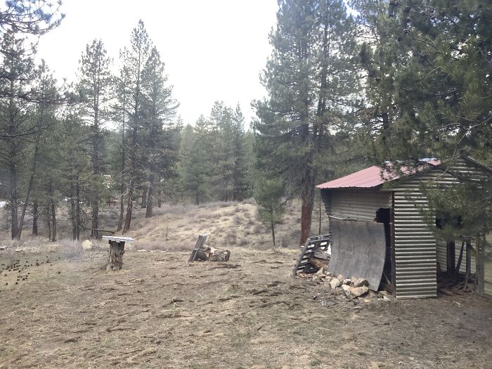 Idaho Forests. This Is Nothing Compared To The View We Get On The Ridge Top Though