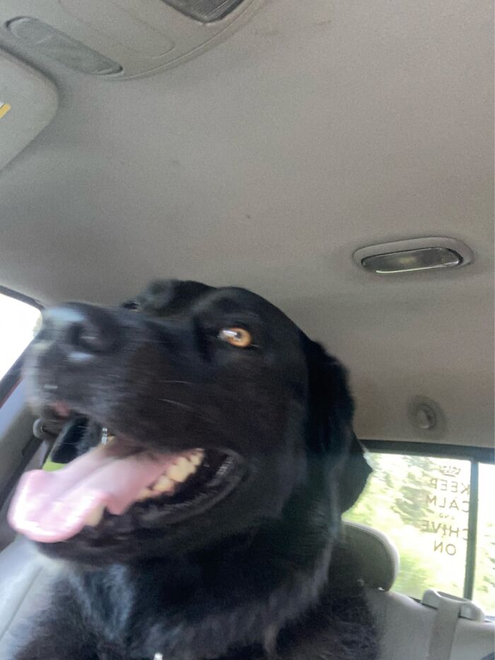 Going For A Truck Ride!!