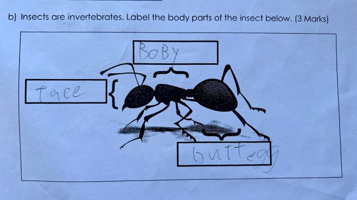 Yup It’s The Ants Butt And It’s Shaped Like An Egg 😂😂