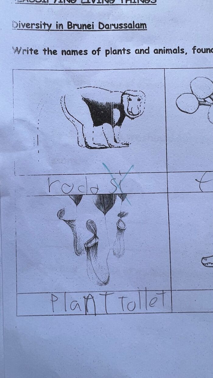 The Result Of Online Schooling In The Pandemic Covid 19 Period 🤣🤣🤣