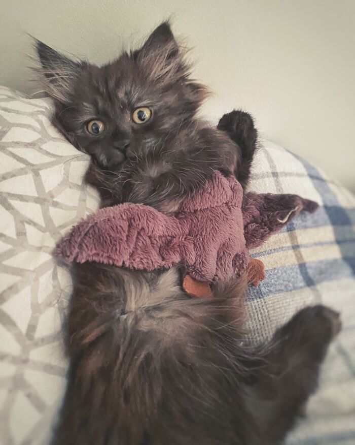 My Itty Bitty Girl With Her Bat