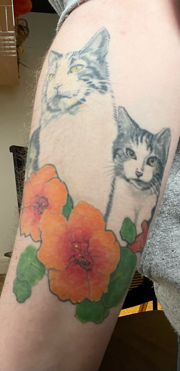 My Kitty Portrait Is My Latest