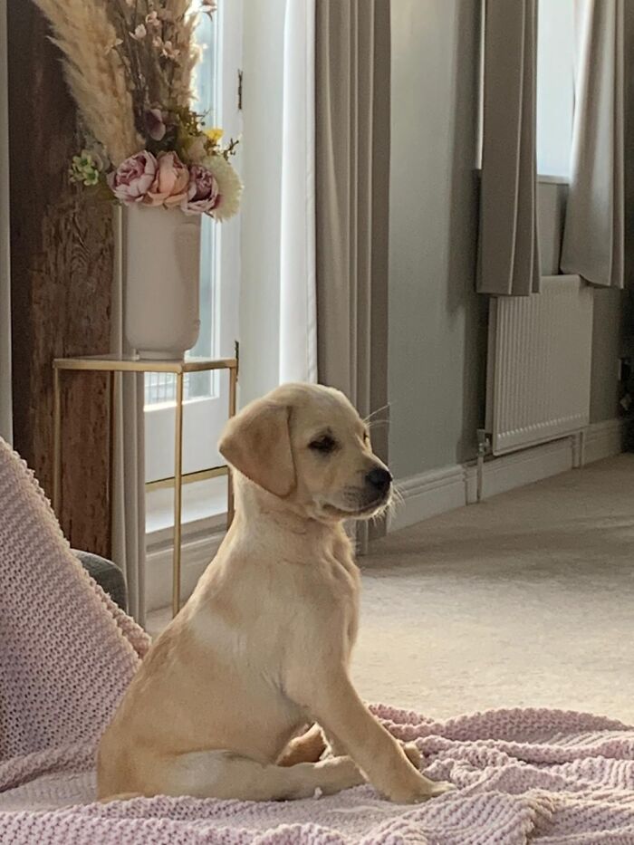 Handsome Woody…❤️