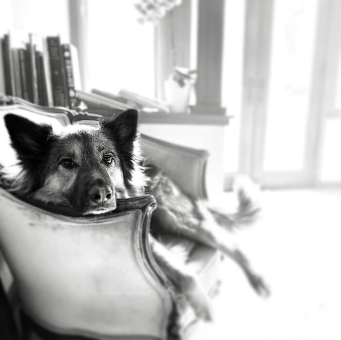 Kirk The Good Bad Wolf