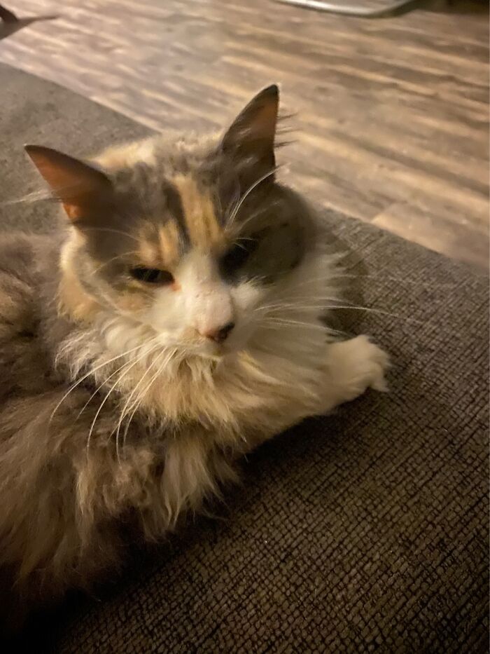 Gray- Will Be Joining The Family After The Wedding!