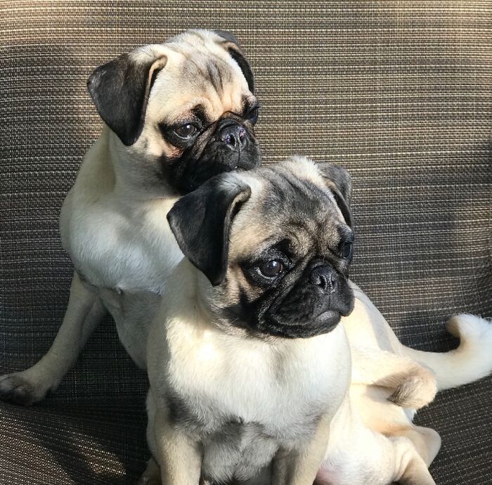 Stormy And Sunny In The Sun!