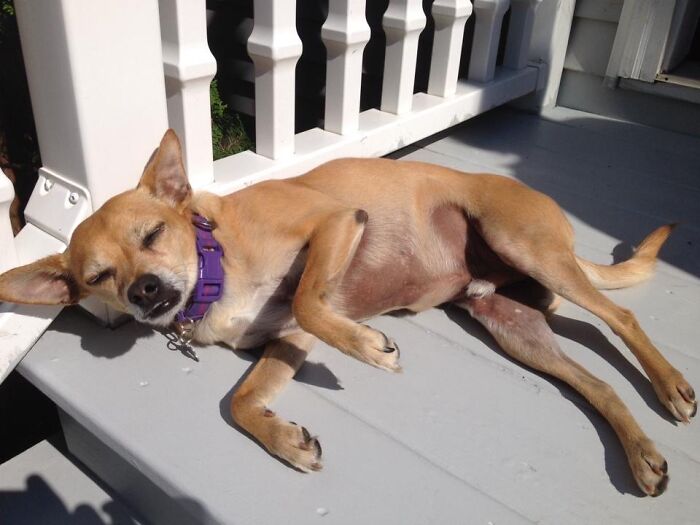 Need Me Some Shades, Mama!