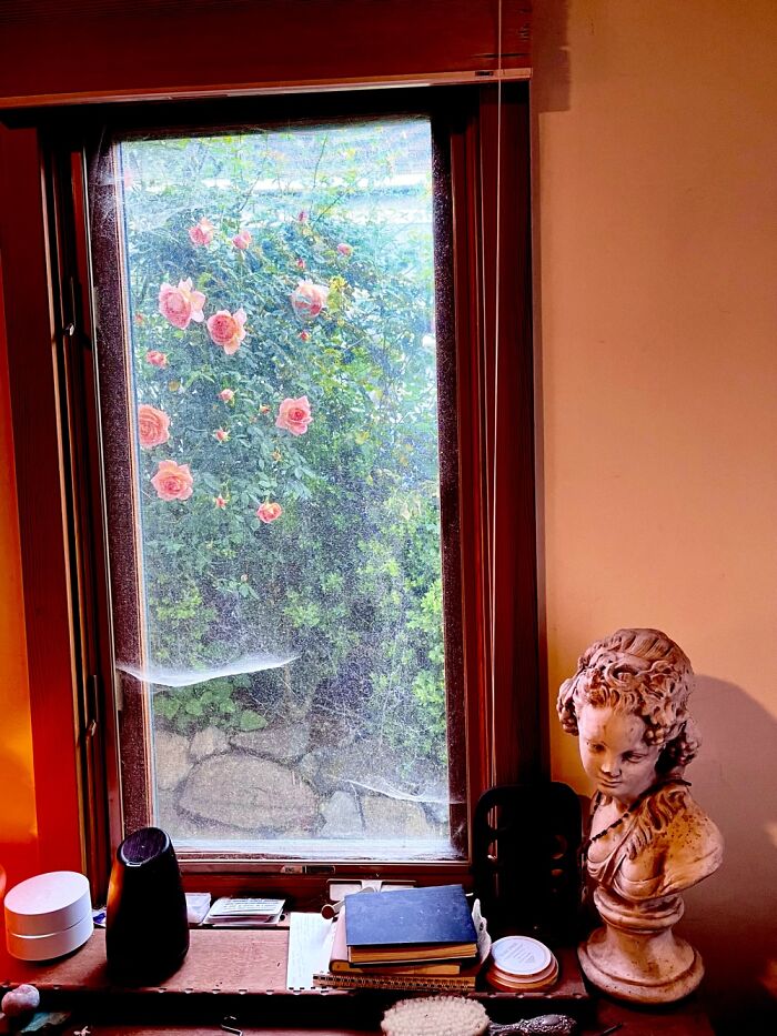 I Am Disabled. Spend Most Time In Bed So It's Nice To Have A View