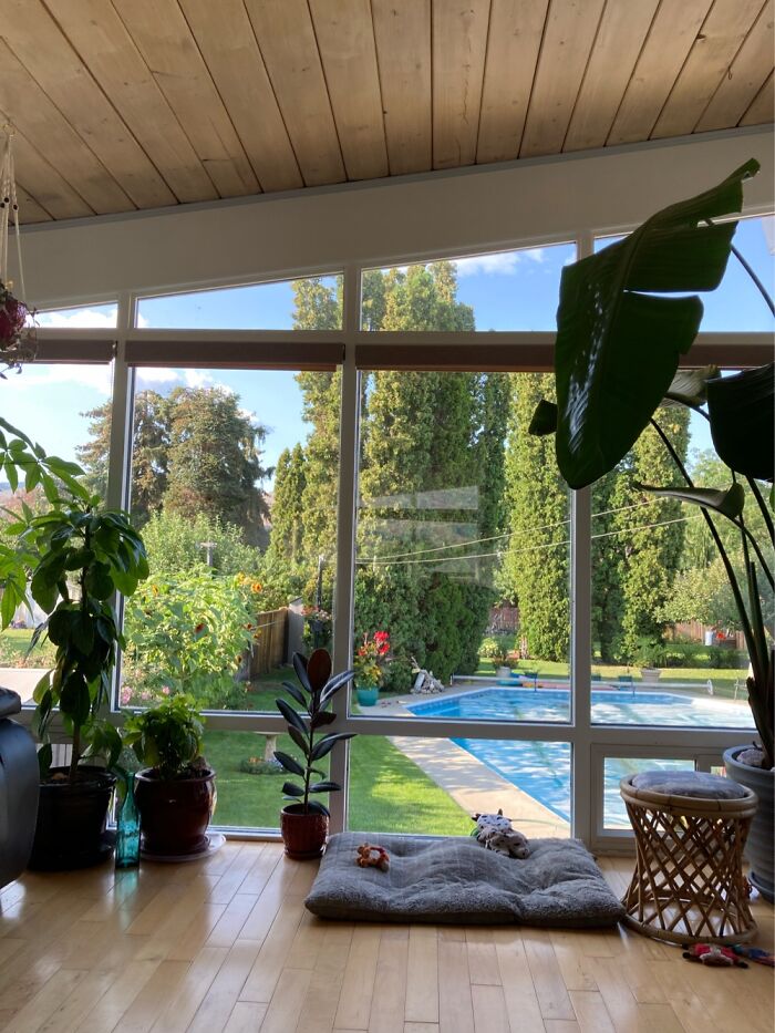 Love Our View Out Our Living Room Window