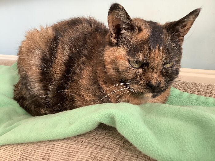 This Is Coco! She Is 15 (Older Than Me)and Likes Mcdonald’s Cheeseburgers.