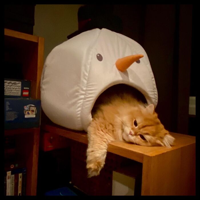 Snowman Has A Rather Large Hairball