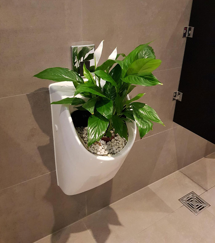 In This Unique Way, A Hotel Chose To Block A Urinal To Enforce Social Distancing In The Men's Room In The Lobby