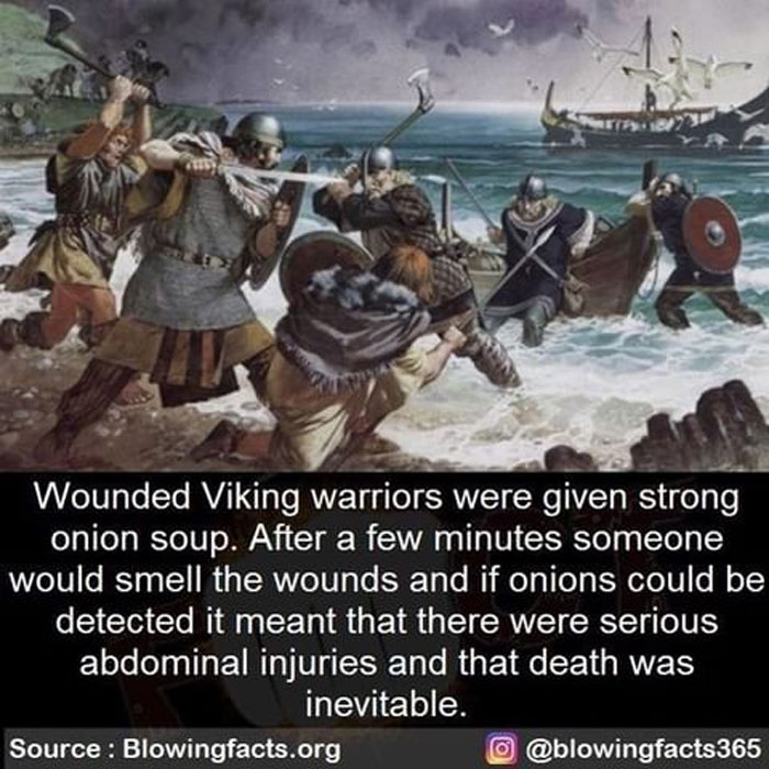 Viking Warriors
