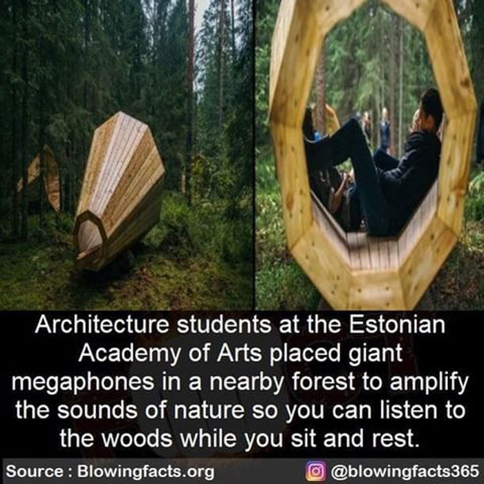 Wooden giant megaphones in a forest amplify nature sounds, shared by an Instagram account with incredible facts you haven't heard yet.