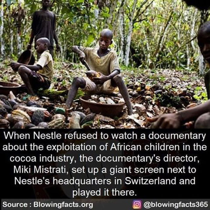 Children working in cocoa farms highlighting facts about exploitation shared by an Instagram account with incredible facts.