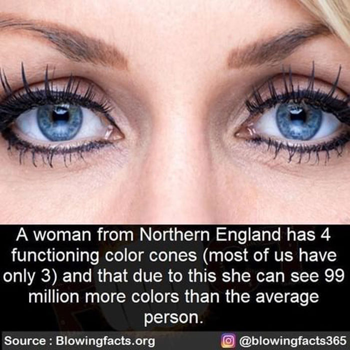 Woman Can See More Colors