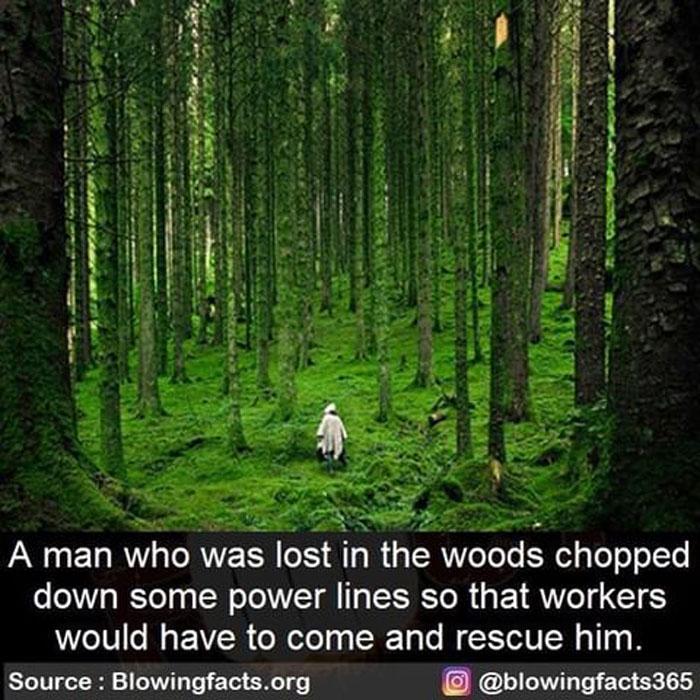 Lost Man