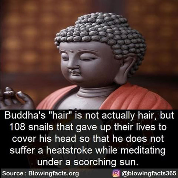 Buddha's Hair Secret