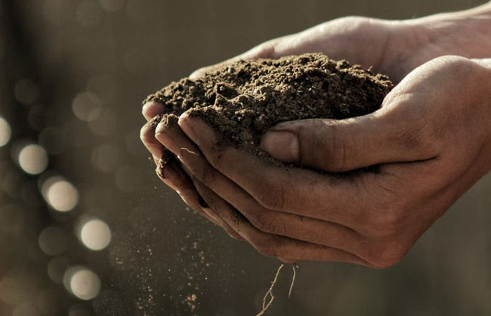 Homeowner Association Nightmares: People Are Sharing The Most Infuriating Encounters They've Had With HOAs (35 New Pics)