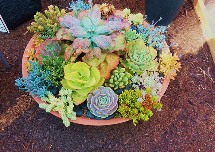 20 Encuentros exasperantes que tuvo la gente con las asociaciones de propietarios (nuevas imágenes)