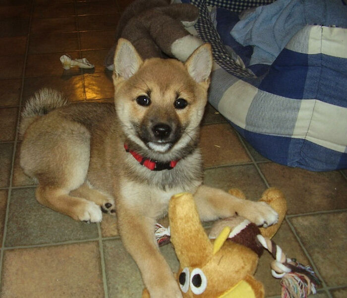 Junko In Small, She's Almost Eleven Now.