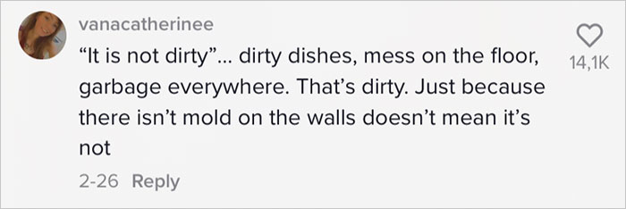 People Are Torn About This &ldquo;Lazy&rdquo; Mom Of 4 And Her Honest View Of Her House After 4 Days Of Not Cleaning