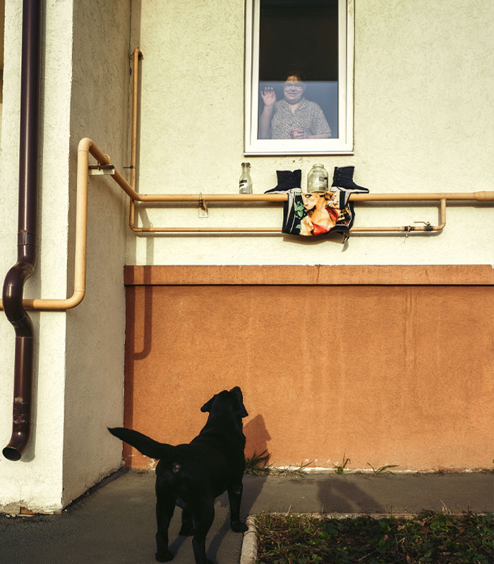 Person Receives Letter From Elderly Neighbor Detailing His Newly Found Happiness In Life Thanks To Him Being Asked To Babysit Their Pets