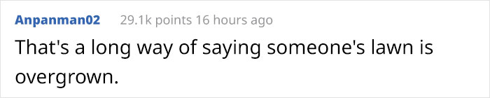 Person Receives Letter From Elderly Neighbor Detailing His Newly Found Happiness In Life Thanks To Him Being Asked To Babysit Their Pets