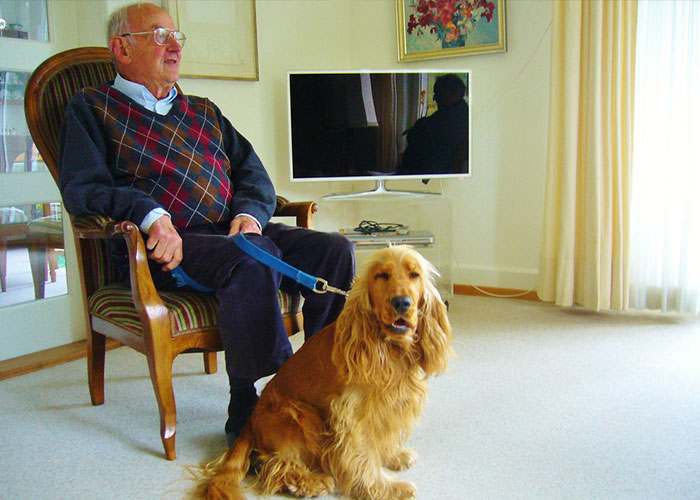 Person Receives Letter From Elderly Neighbor Detailing His Newly Found Happiness In Life Thanks To Him Being Asked To Babysit Their Pets