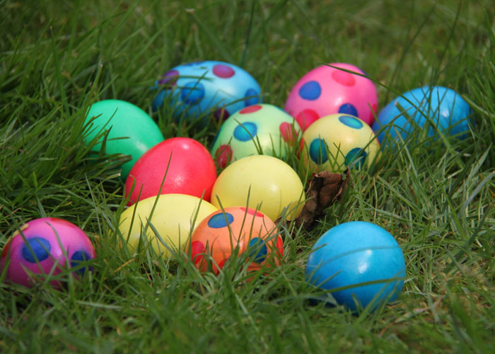 Guy Told His Neighbor He Can't Hide Easter Eggs In His Backyard, Neighbor Tries To Do It Anyway