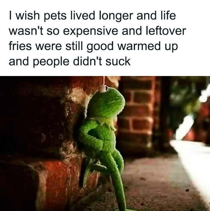 All Of This But Who Has Leftover Fries??