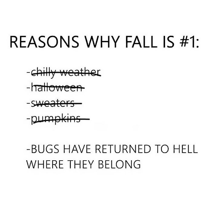 I Love All The Things But This Is Definitely #1