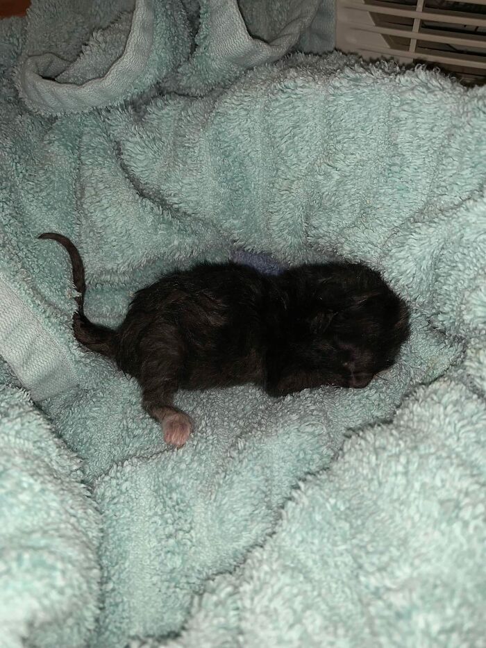 Well, Seems We Have Another Mhnmc Sitch