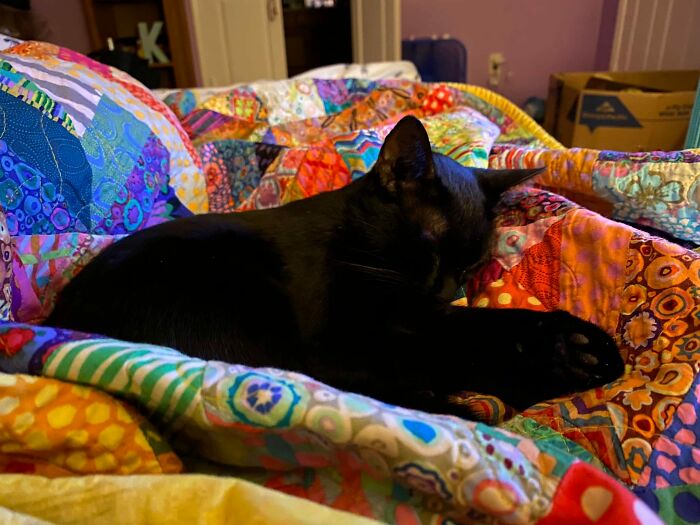 This Sweetie Is Cece Sunshine