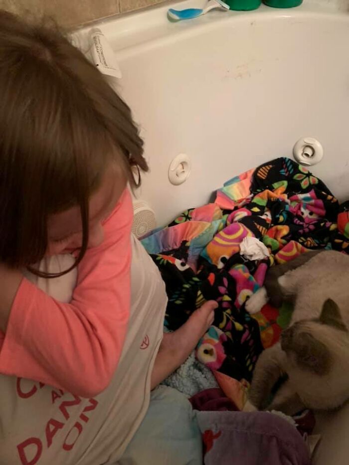 My House, My Bathtub, My Kid, Not My Kitten