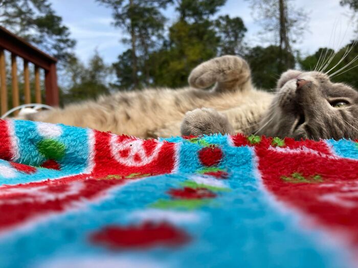 Technically, Tony Isn’t Ours